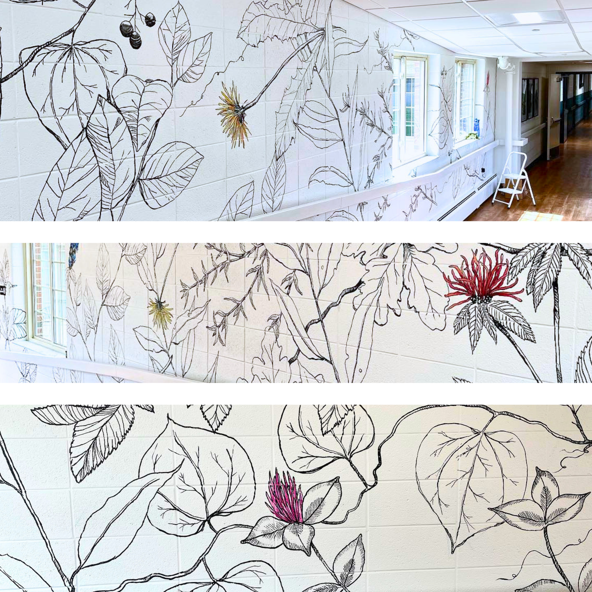 Untitled design (1).png