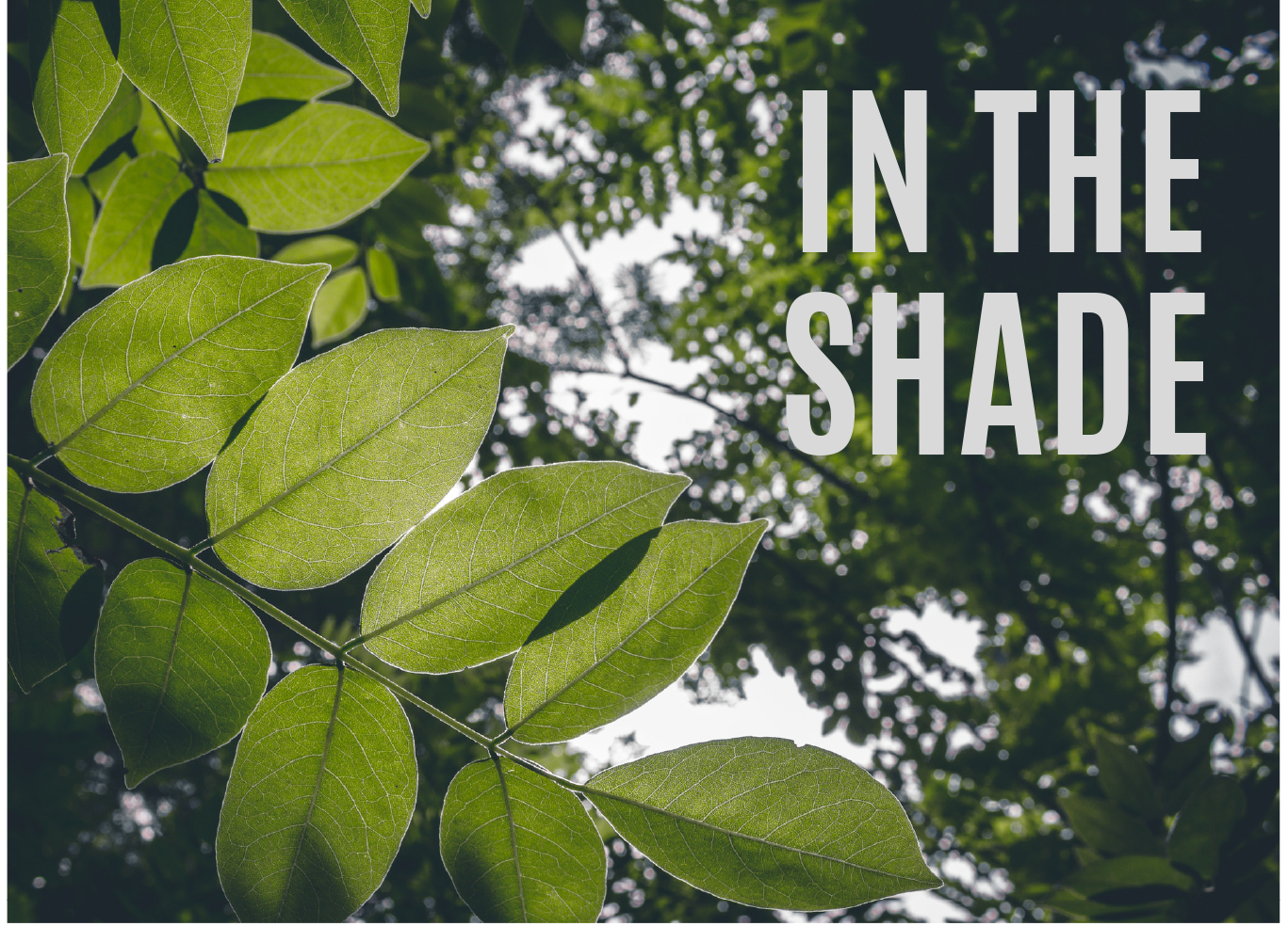 In the Shade Episode 1: "Wyncode Academy: Is It Worth It?"