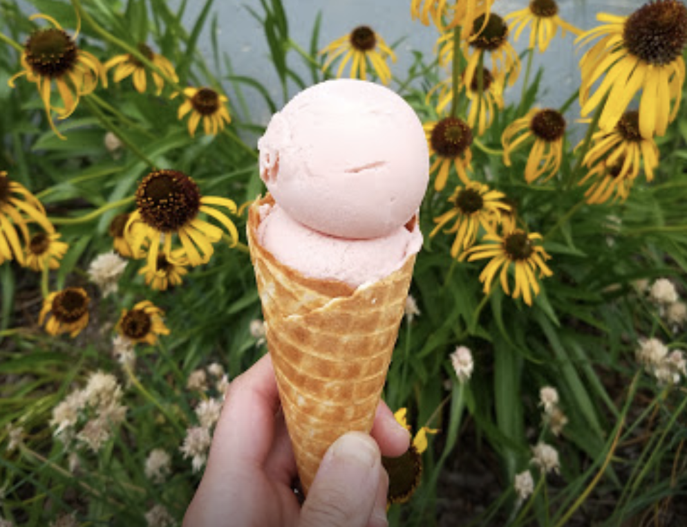 WVUM Screams for Ice Cream!
