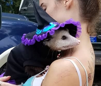 Spooooky Songs for the Season