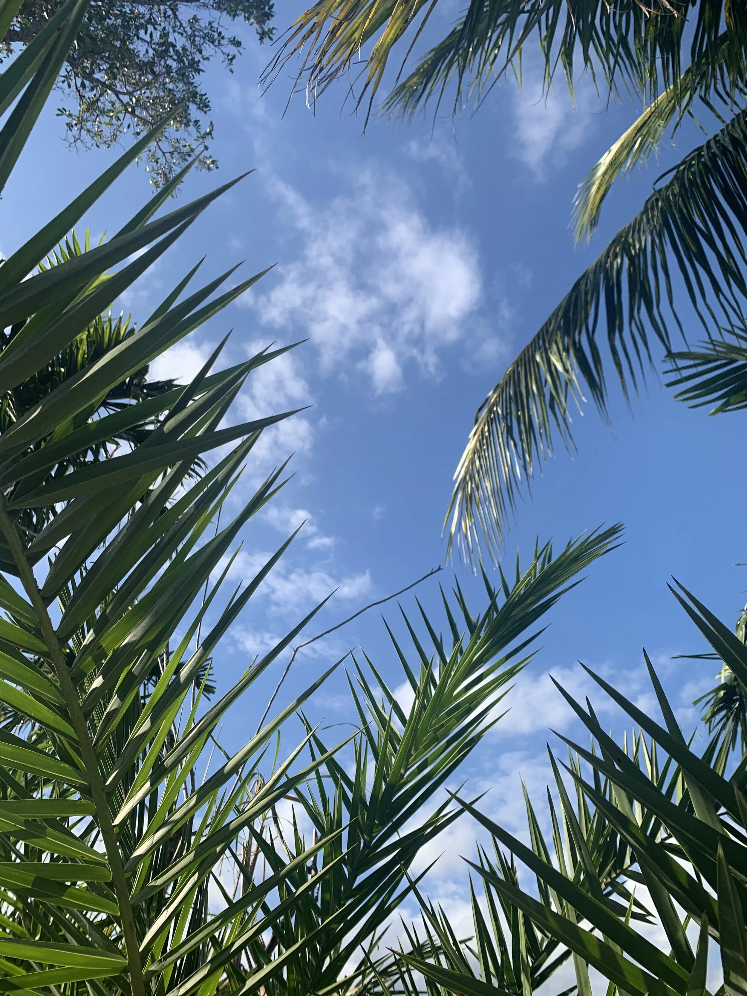 MD's Music Mondays: Week Two