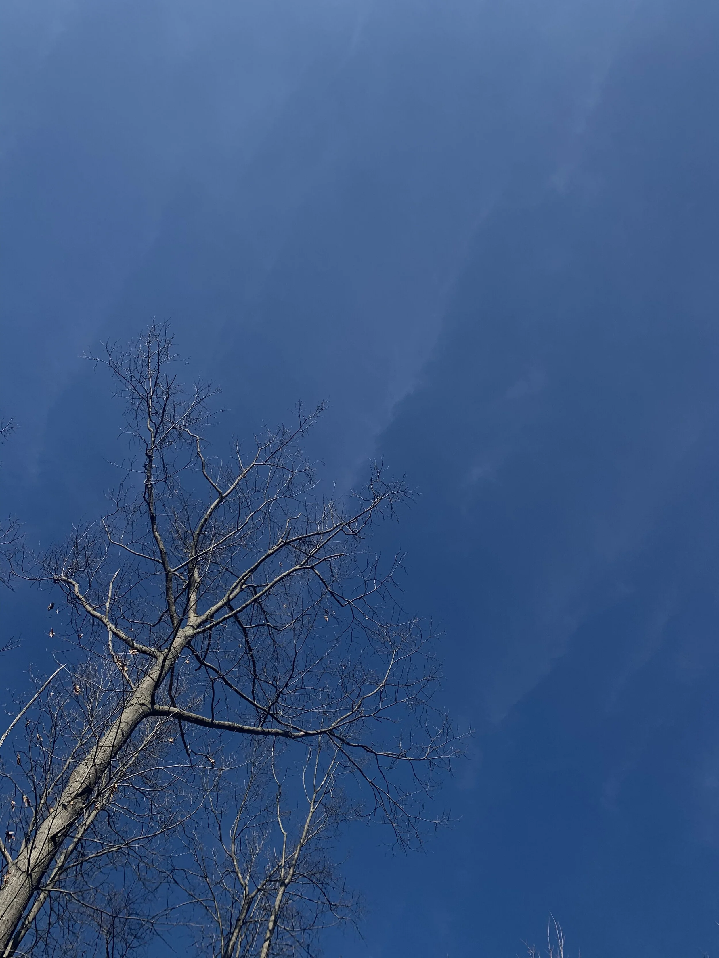 MD's Weekly Digest: Week Four