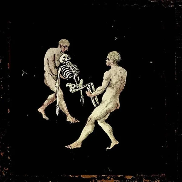 WVUM BLOG EIRE BEES.jpg