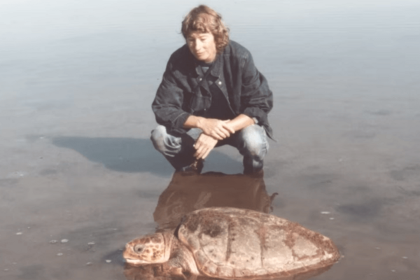 MARY TURTLE.png