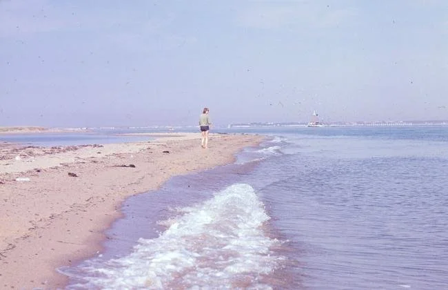 MARY OLIVER BEACH.jpg