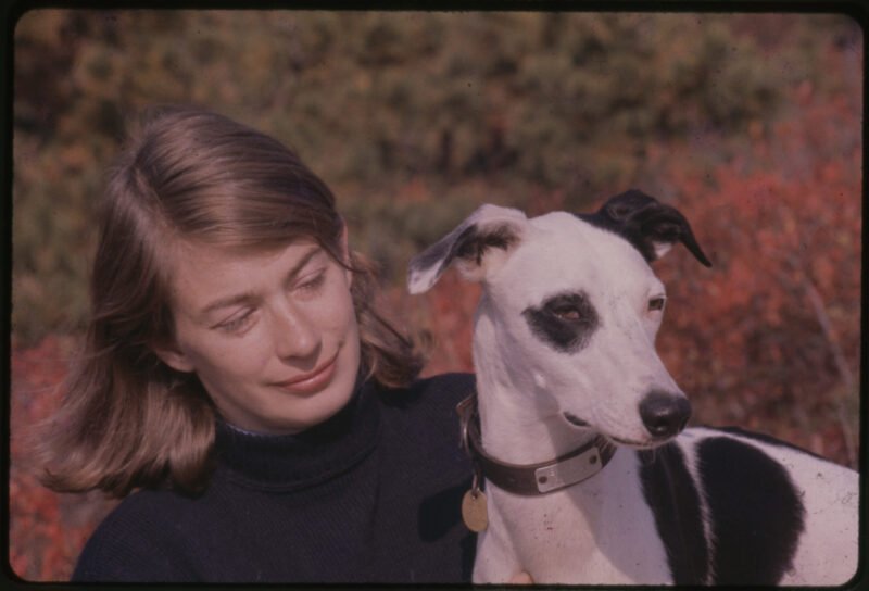 MARY OLIVER DOG 2.jpg