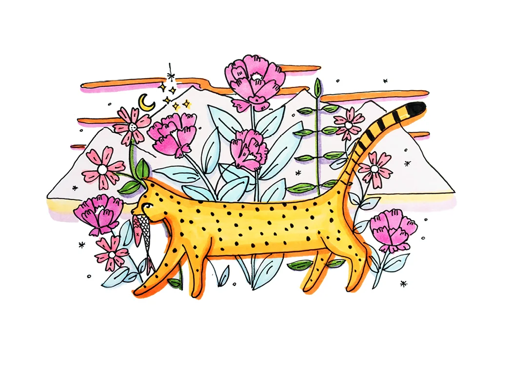 cheetah_heyfarah.jpg