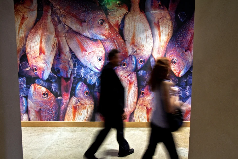 7-Morimoto_Napa_Fish_Wall-79c5d067.jpg