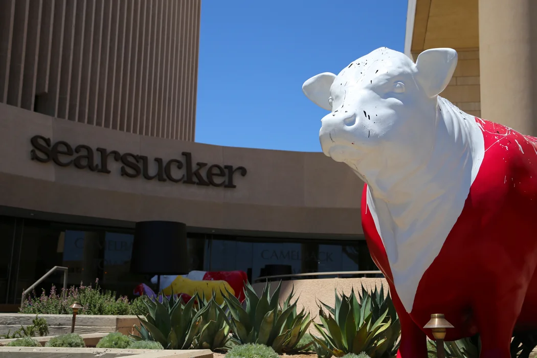 Scottsdale-animals-040.JPG