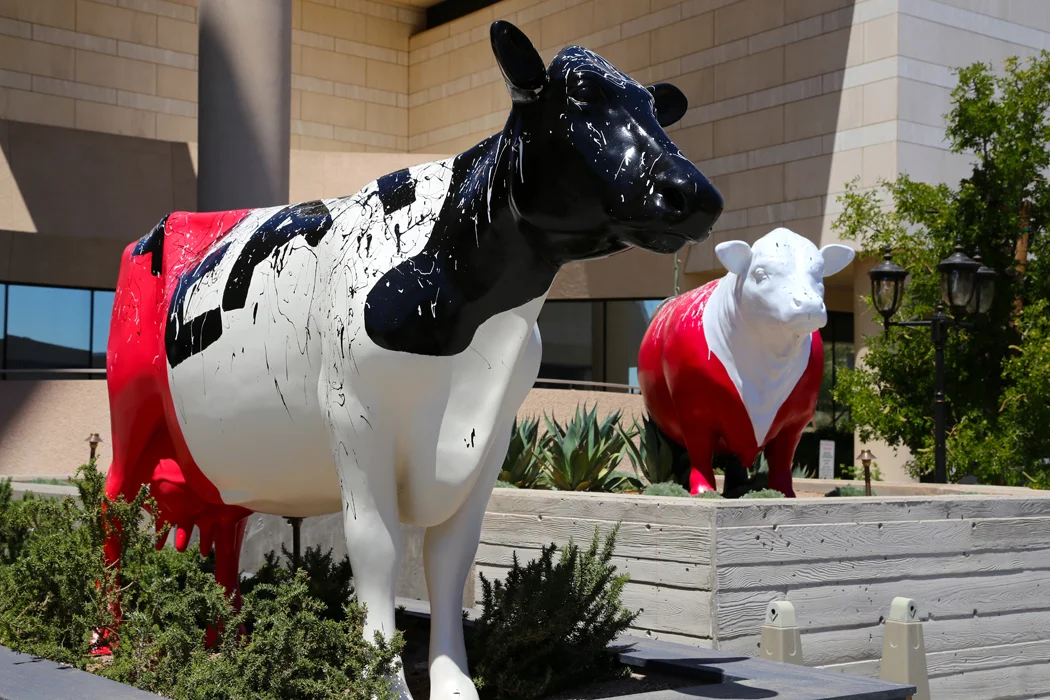 Scottsdale-animals-060.JPG