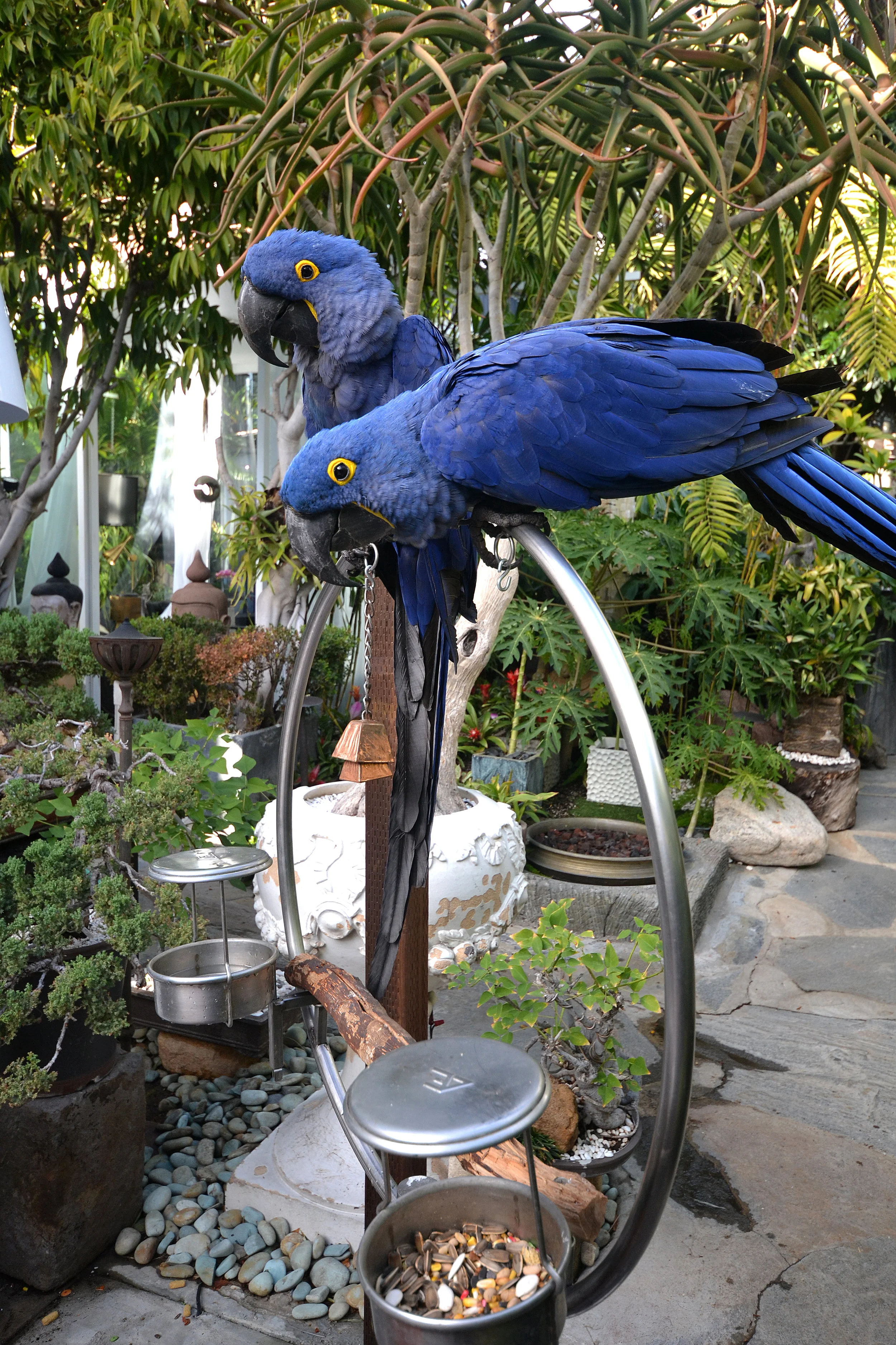 DSC_0029.jpg
