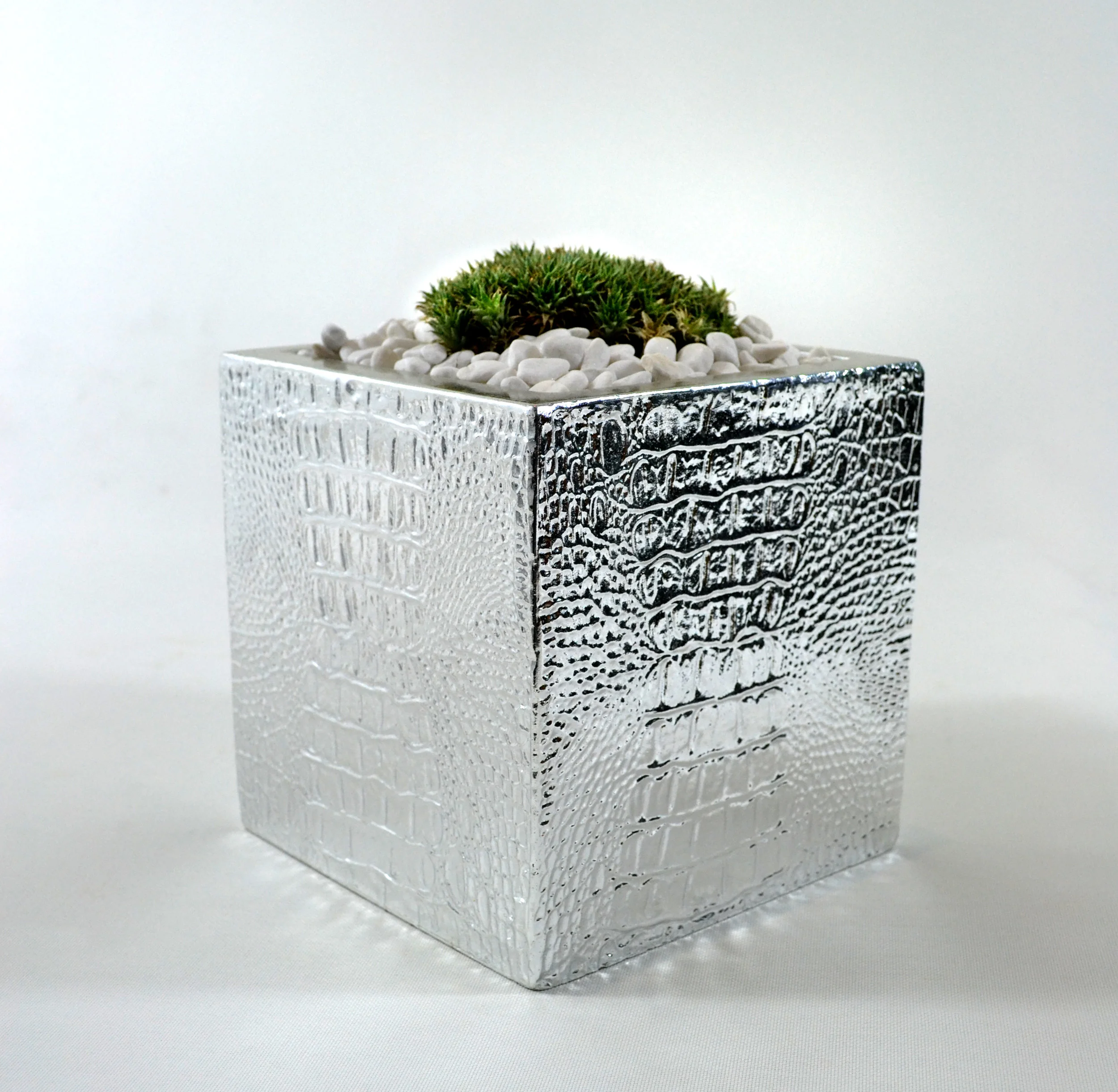    ALLIGATOR PLANTERS - SILVER   