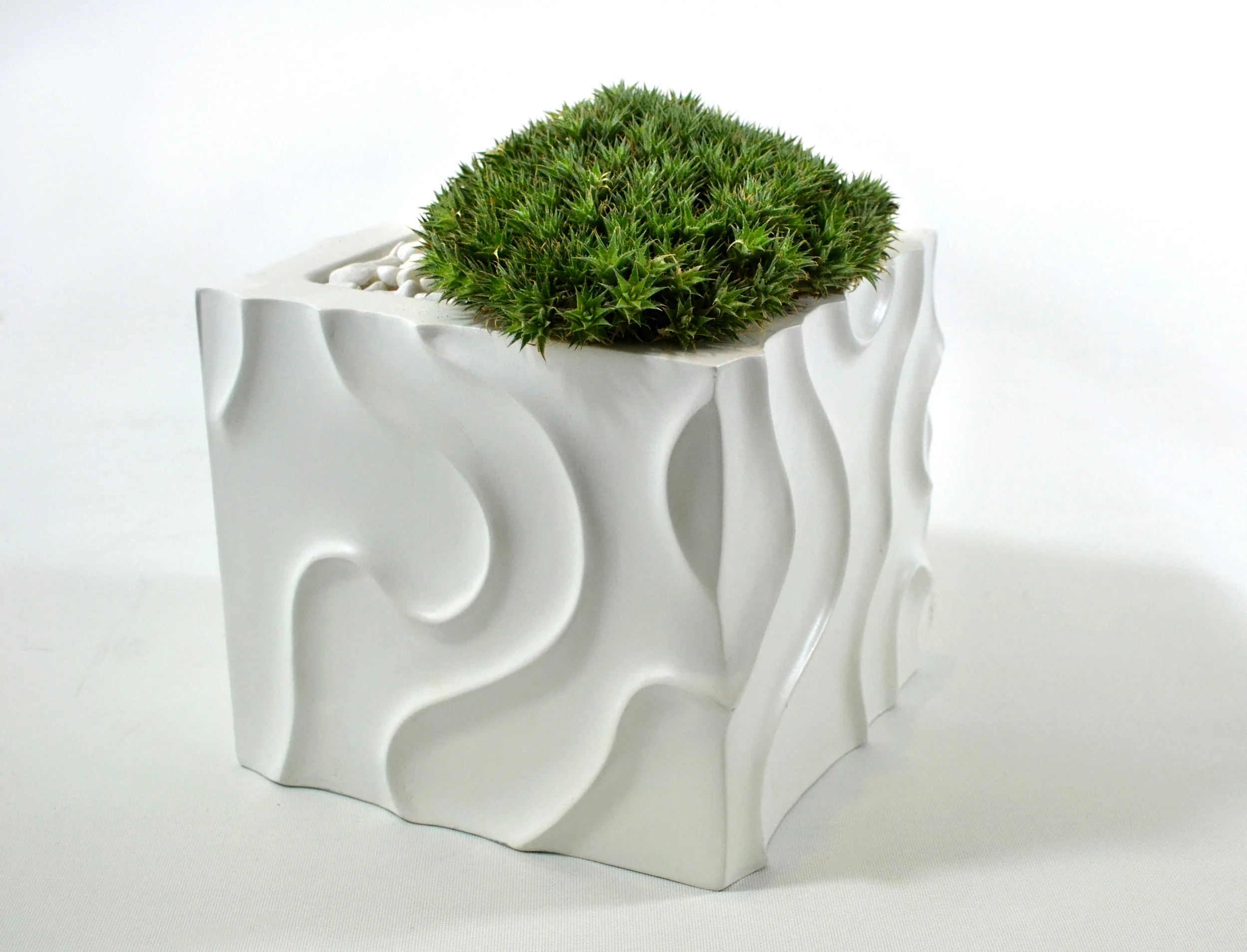    DUNE PLANTERS - WHITE   