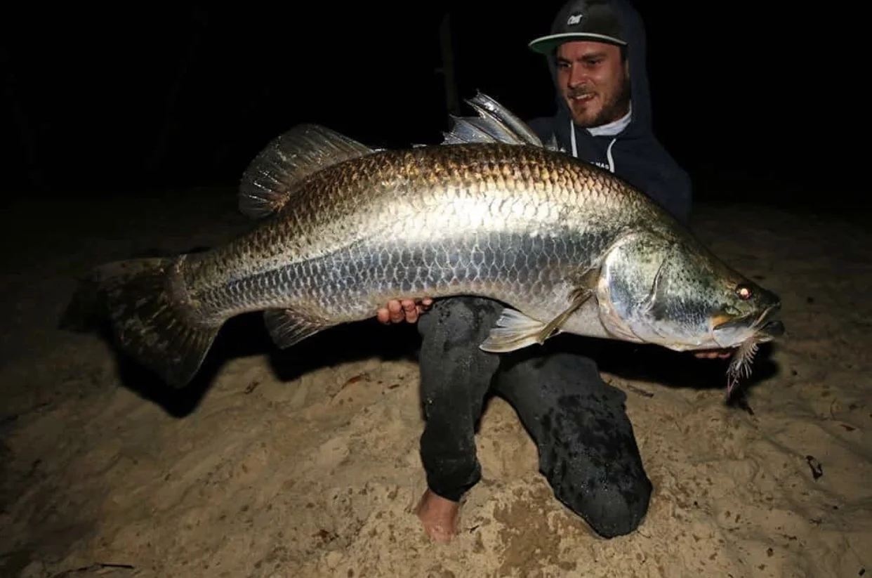Justin Mcnab with a 120cm Noosa River Barramundi. What an incredible fish/photo! The fish was released safely.