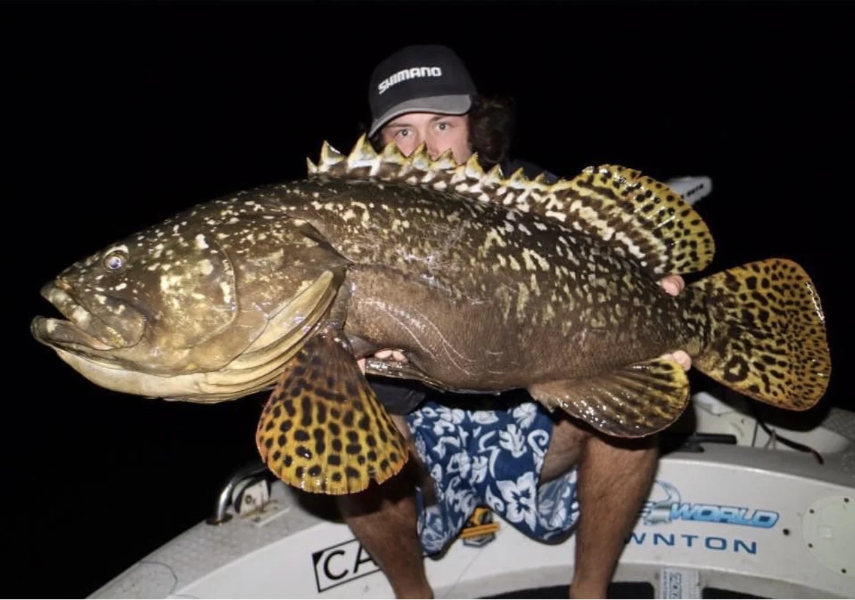 Liam O’Brien with an 88cm Queensland grouper he caught while searching for jacks and Barra with lures. The fish was released safely.