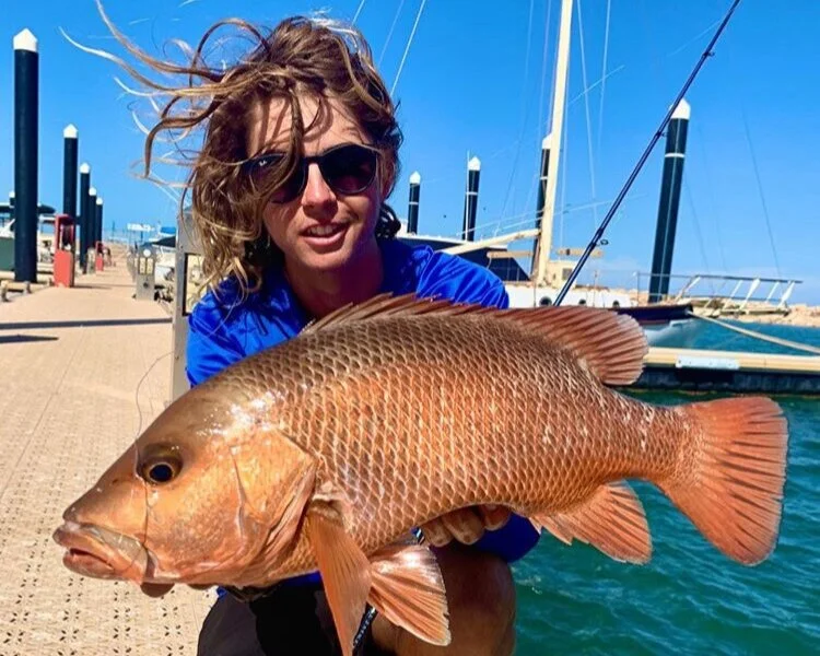 Will Roche — SCF Australia,