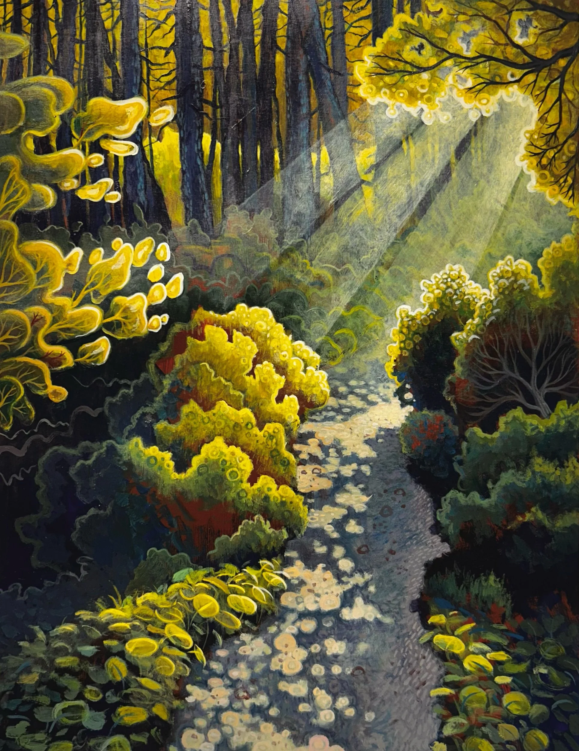 Forest Park Illuminated, 11x14, 2024