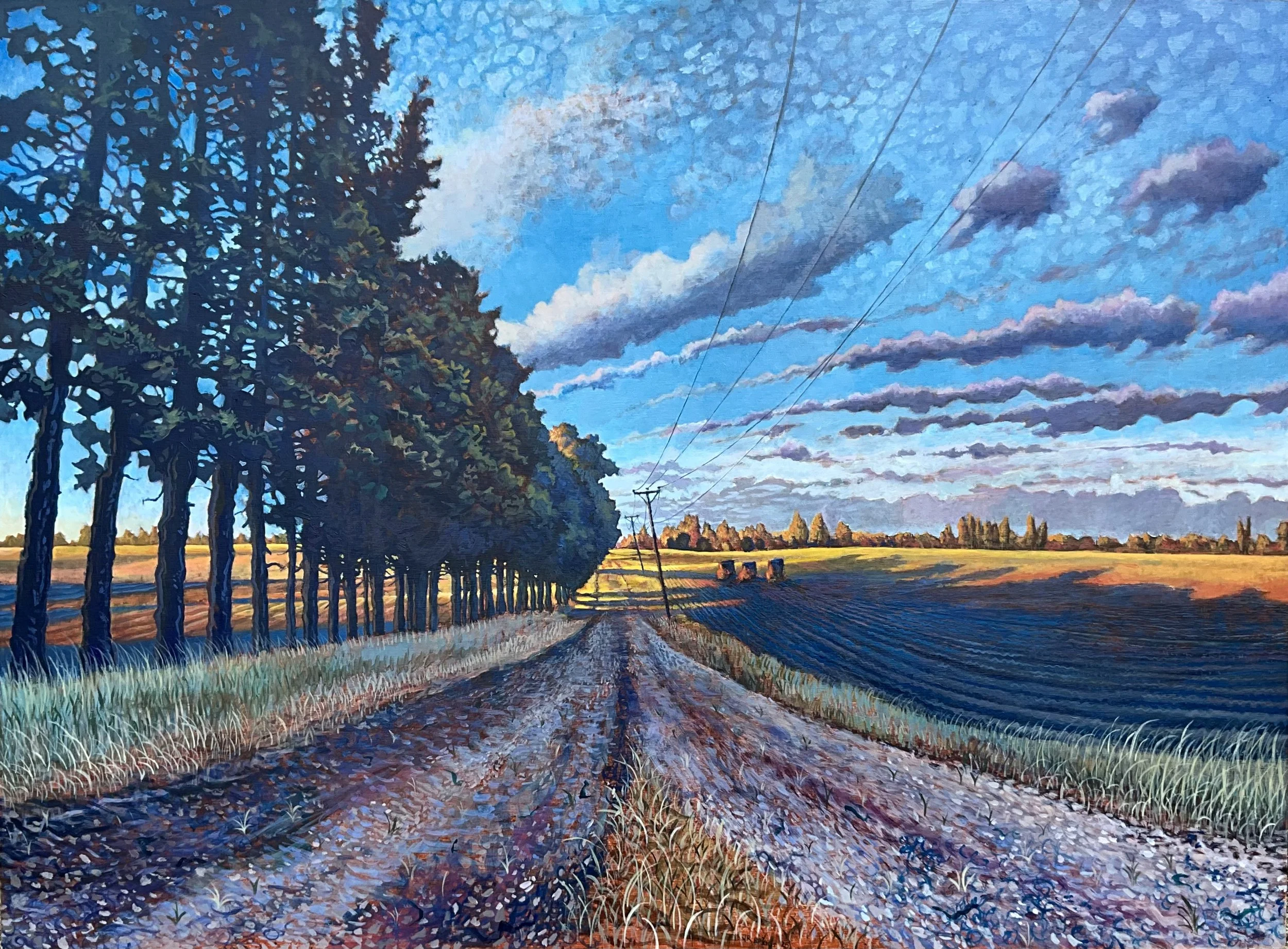 Sunset Shadows on Sauvie