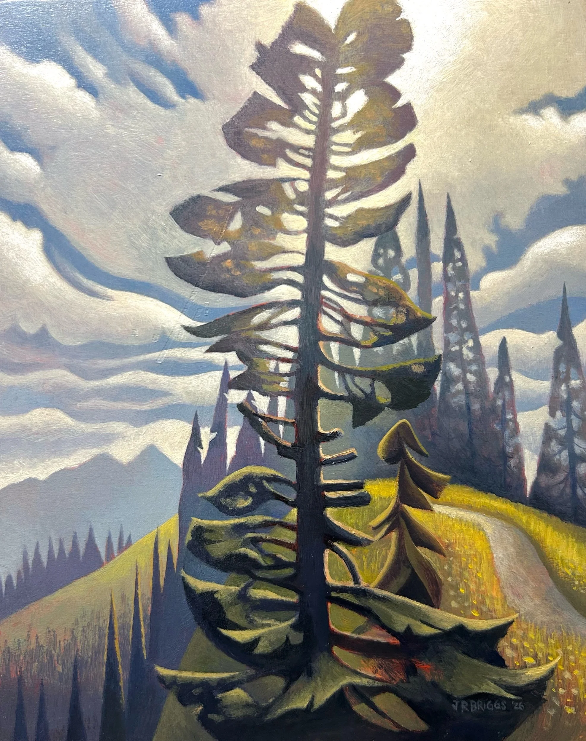 Heavenly Reach on Skyline Trail, Mt. Rainer