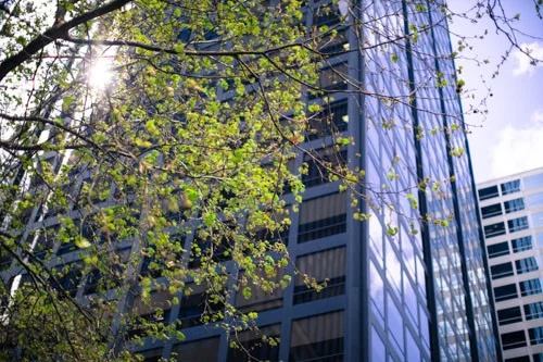 Burns IP - Lawyers in Richmond Melbourne.jpg