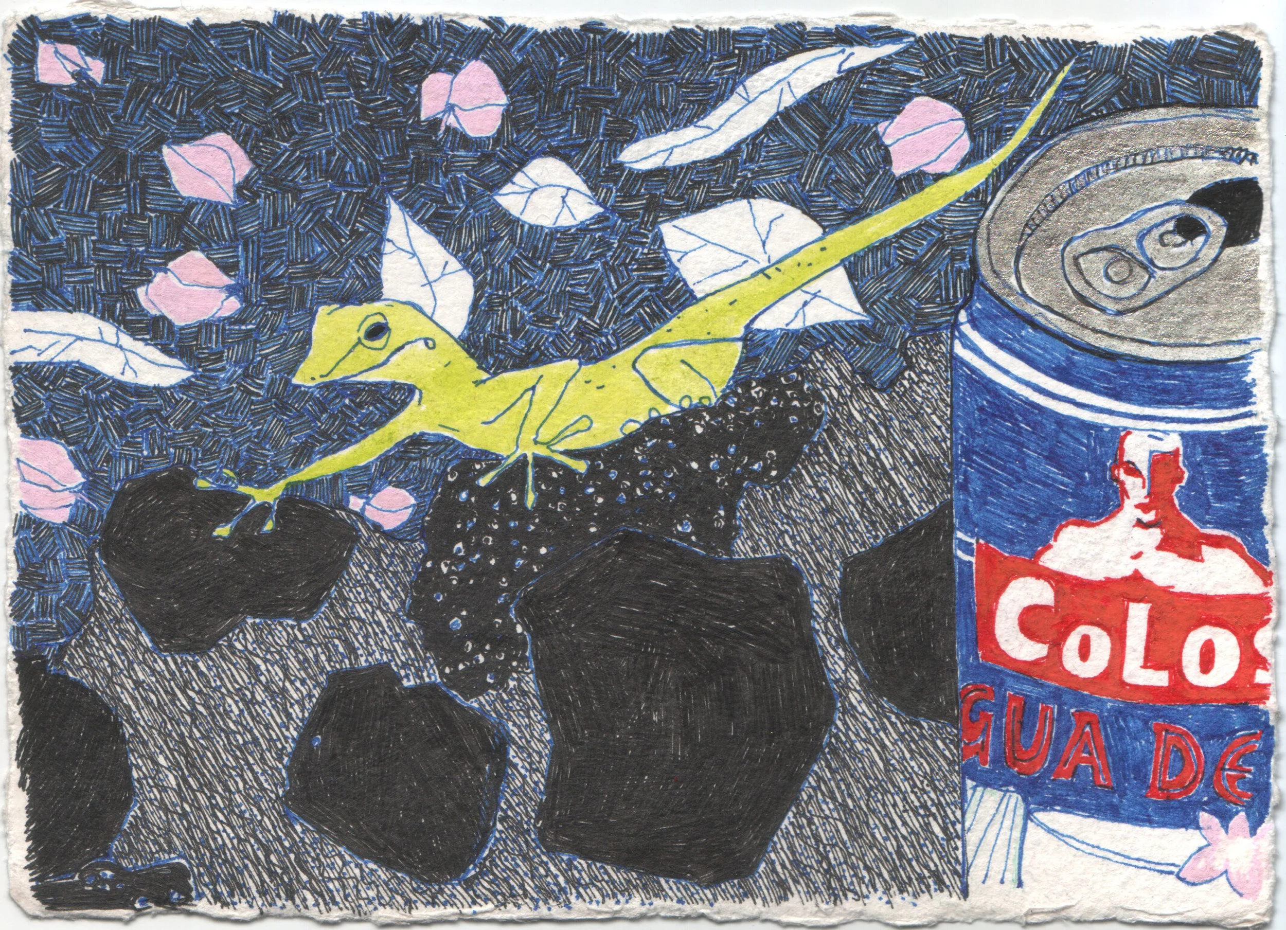 Gecko + Coconut Milk