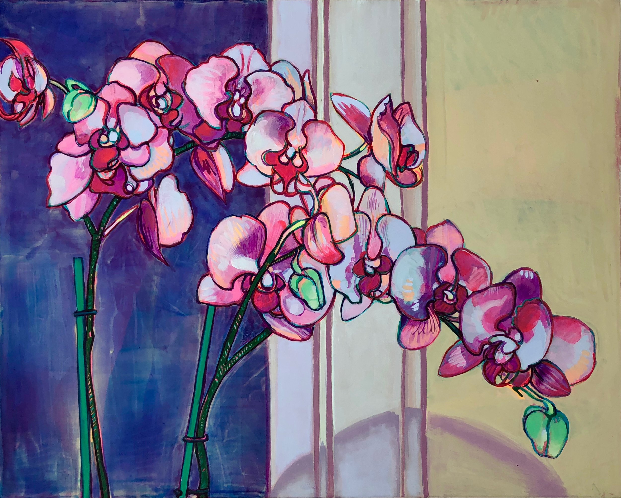 Borrowed Orchids