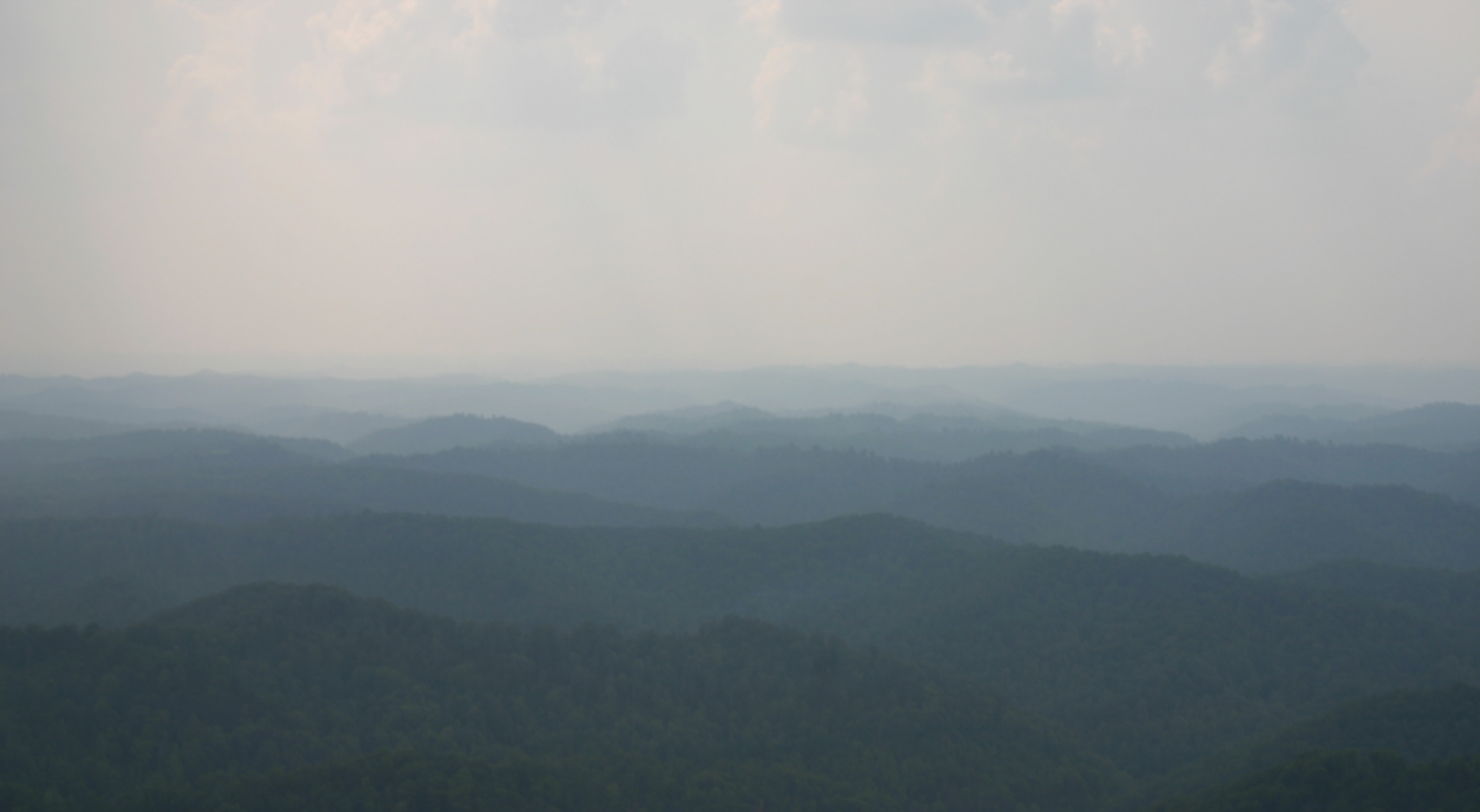  In May of 2006, Neela went on the “Writers and Photographers Tour” to protest mountaintop removal mining. The tour was sponsored by KFTC. This is how all the beautiful Appalachian Mountains, where River lives, are supposed to look. 