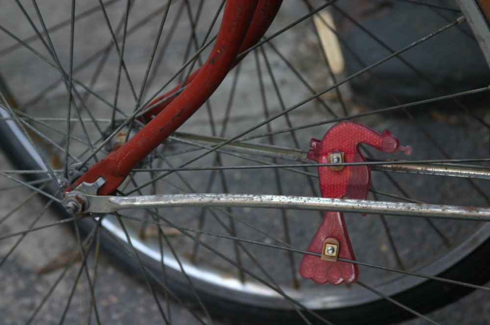 “My brother is seventeen years old. He has a big smile and strong legs because he is a bike messenger. All the girls love him, which makes him very conceited.” -Meena, Same Sun Here