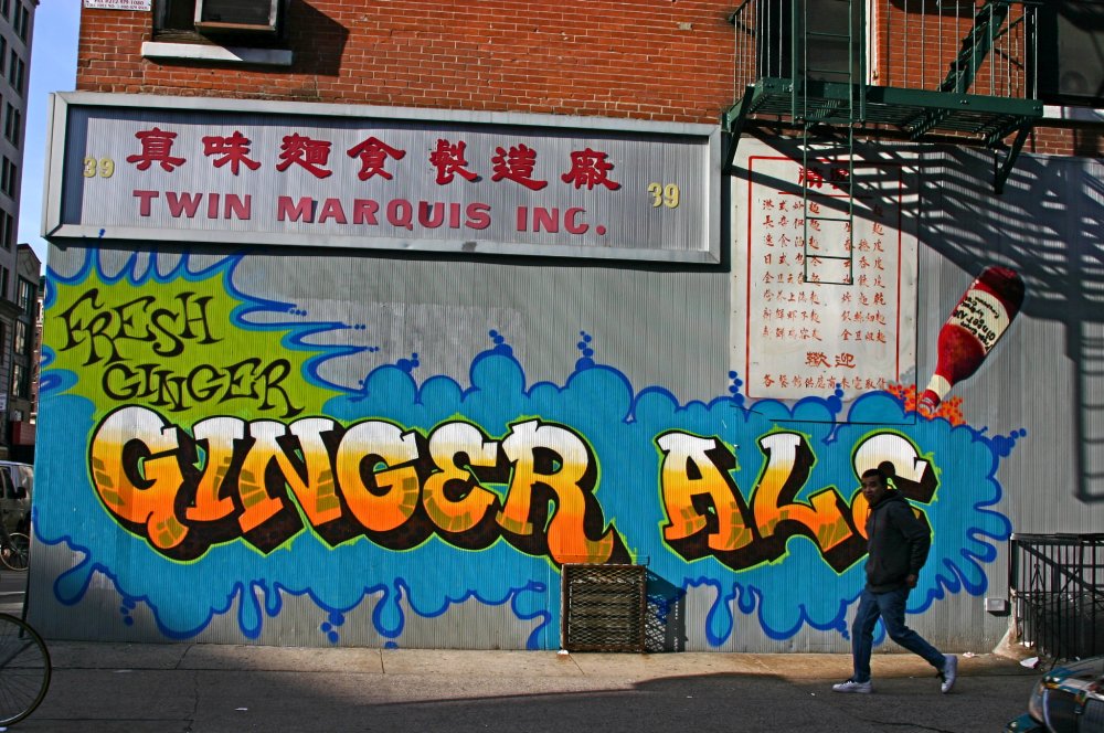  Wall in Chinatown, New York City. Near Mrs. Lau’s Senior Citizen Center. “Mrs. Lau has been in America twice as long as she was ever in Hong Kong. She has lived in her apartment for fifty-five years. She says NY Chinatown is home.” -Meena, Same Sun 