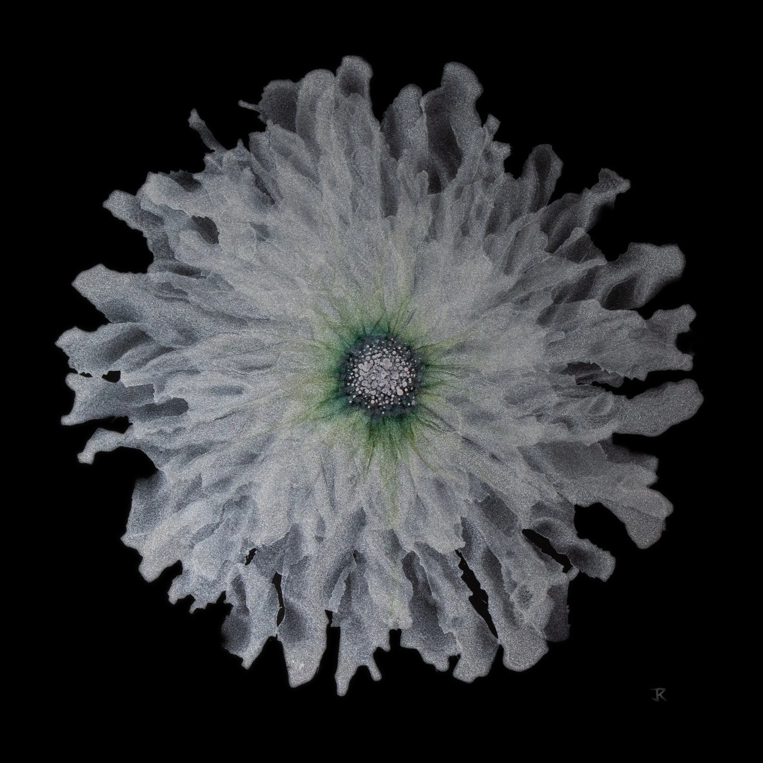 PP40.jpg
