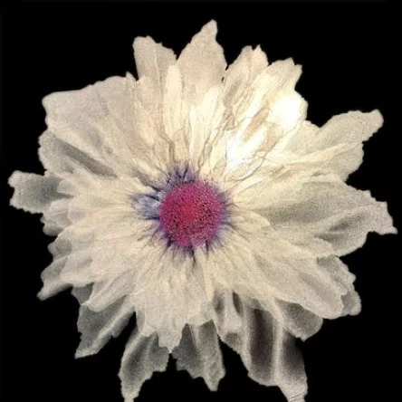 PP42.jpg