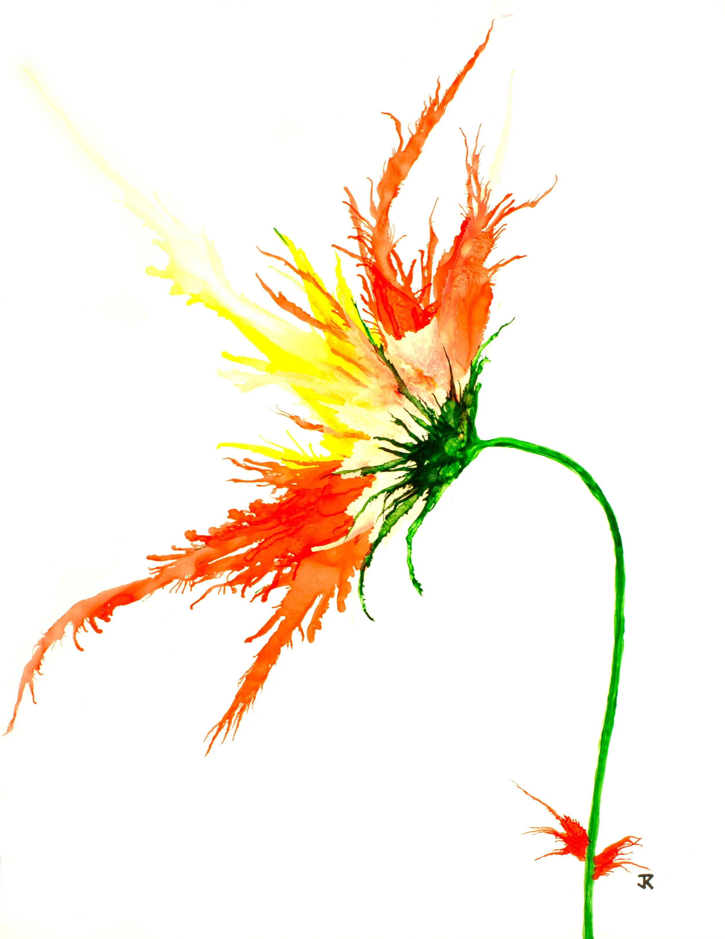 PP61.jpg