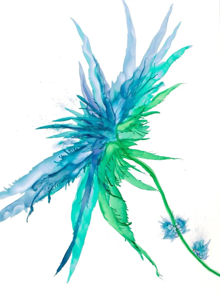 PP58.jpg