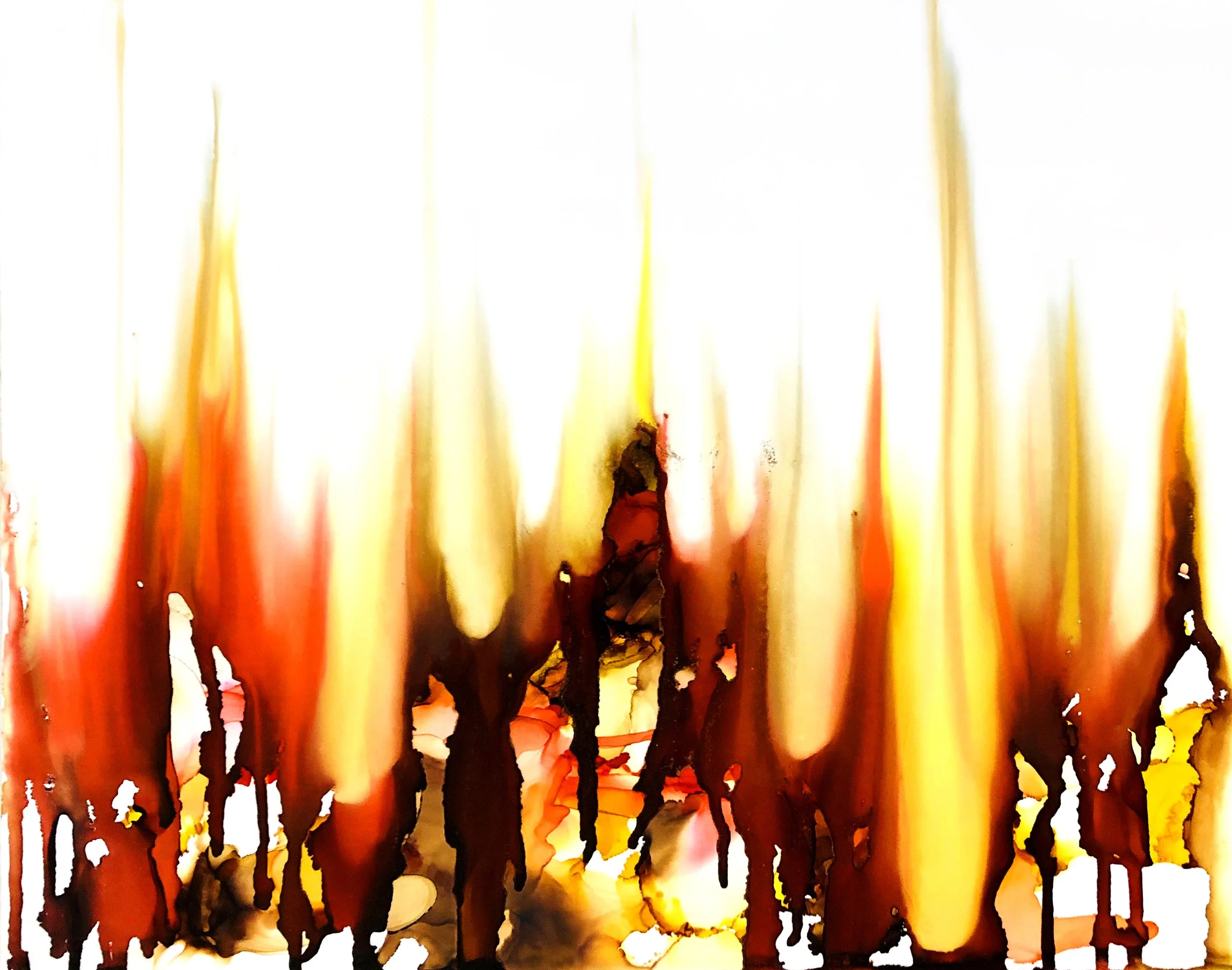 PP55.jpg