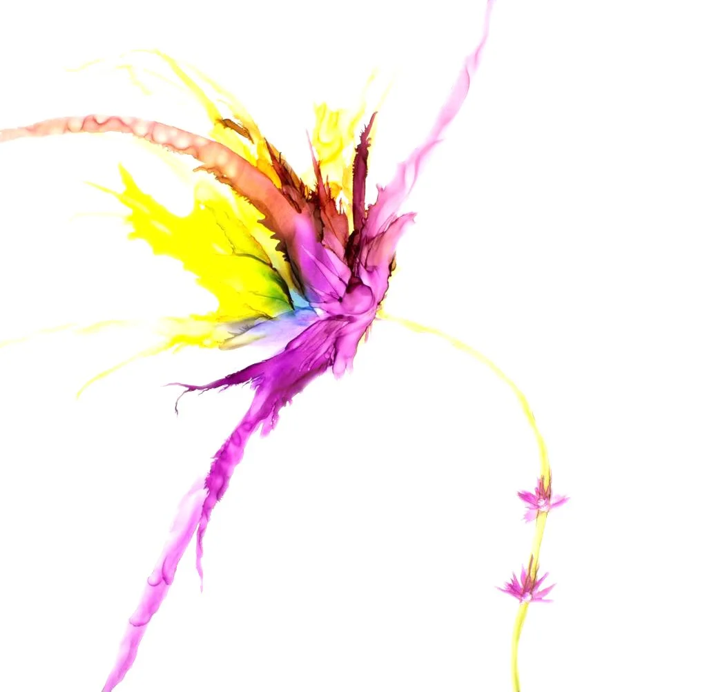 PP48.jpg