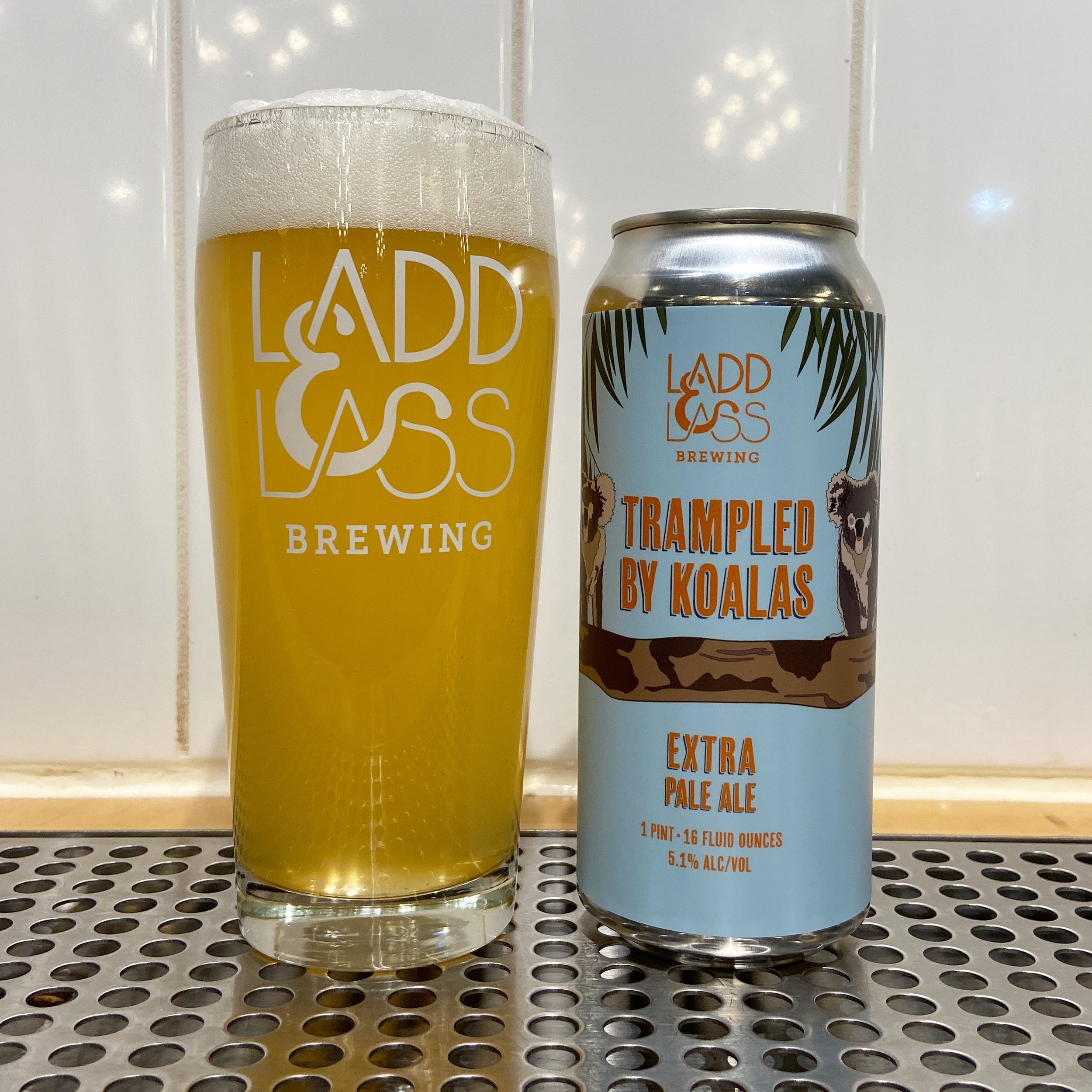 NEW RELEASE!

Trampled by Koalas
Extra Pale Ale / 5.1% ABV 

Unlike a surprise drop bear attack, this extra pale ale is a light and bright experience. With a striking pristine golden hue and a punchy dose of some of our favorite southern hemisphere h