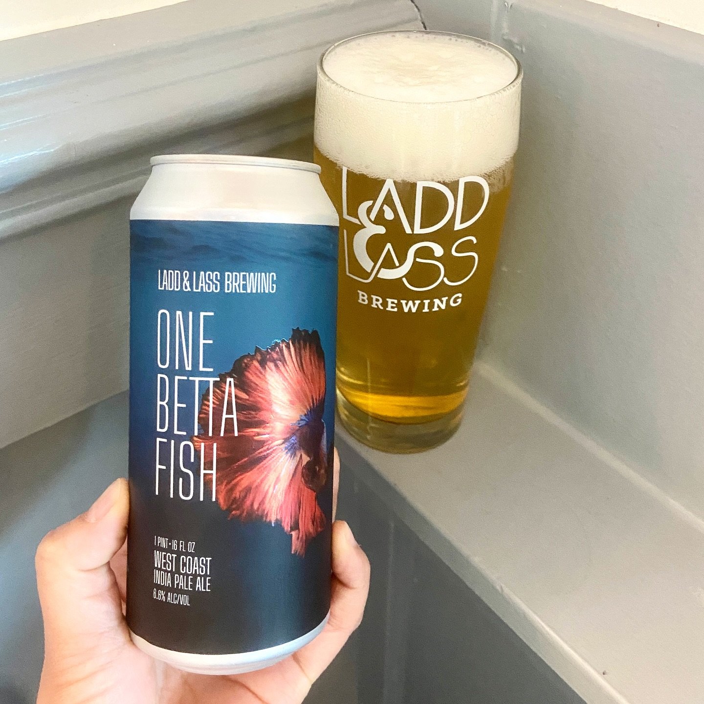NEW RELEASE!

One Betta Fish
West Coast IPA / 6.6% ABV

Nearly four years in and 170+ batches later, L&amp;L is finally headed towards our very first core beer. We are looking forward to brewing a West Coast IPA that will be your go to―whether it be 