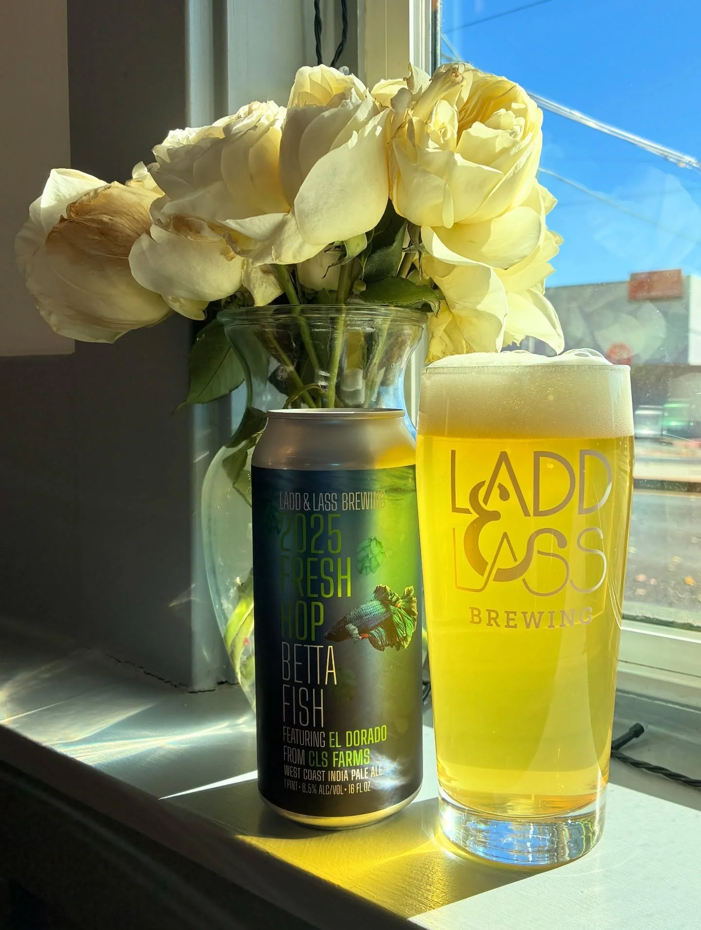 LAST FRESHIE OF 2025!

Fresh Hop Betta Fish
WC IPA / 6.5% ABV

Featuring 200 pounds of El Dorado hops from @cls_farms. Harvested and brewed on September 22. Packaged on October 13.

[Eligible for Can Club punch card]

#DrinkLocal #CraftBeer #drinkWAb