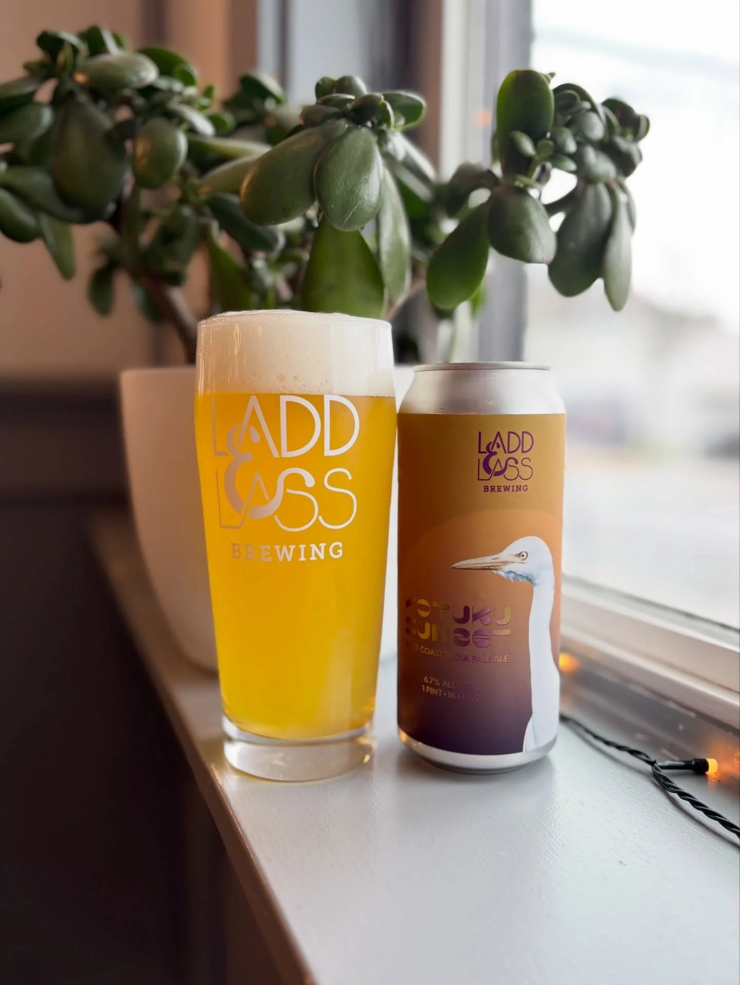 NEW RELEASE!

Kōtuku Sunset
WC IPA / 6.7% ABV

Brewed with meticulously selected hops from our favorite New Zealand hop purveyor, @freestylehops, Kōtuku Sunset is a Southern Hemisphere holiday in a pint glass. Loaded with the classic Kiwi hop, Waimea