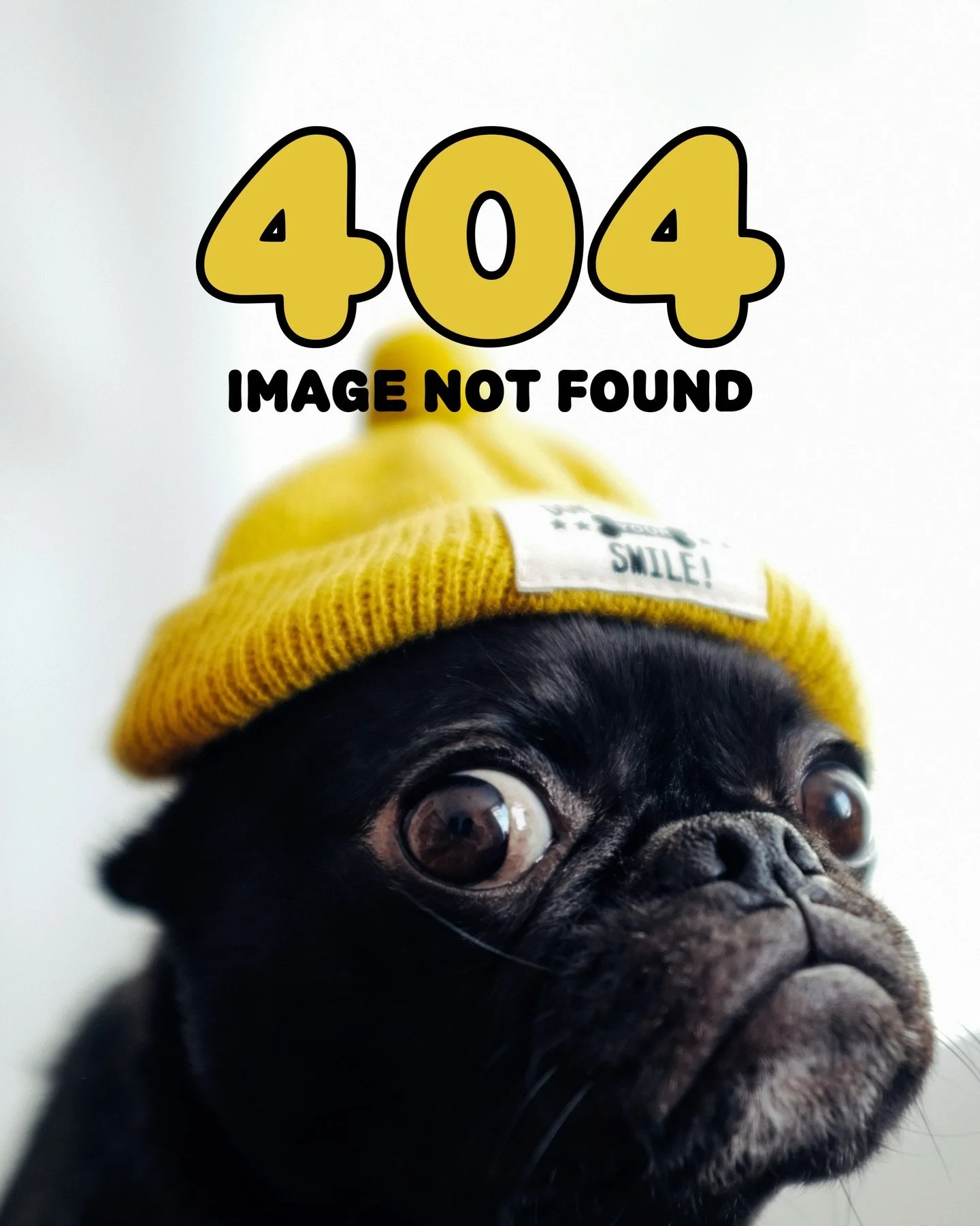 ⭐️NEW TEAM MEMBER ALERT⭐️

Please give a warm L&amp;L welcome to our newest team member, Sid, who starts THIS WEEK!

ABOUT SID (they/them)
&ldquo;what it do 🫶🏼 i&rsquo;m sid! born a desert rat (victorville, ca), stomped around new jersey for a bit,