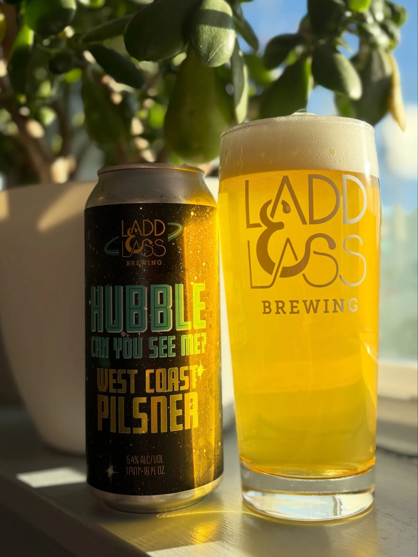 NEW RELEASE!

Hubble, Can You See Me?
West Coast Pilsner / 5.4% ABV

This West Coast pilsner blends our favorite aspects of a traditional German pils with the boldness of hoppy American beers. A dry, lightly bready malt base sets the stage for a punc