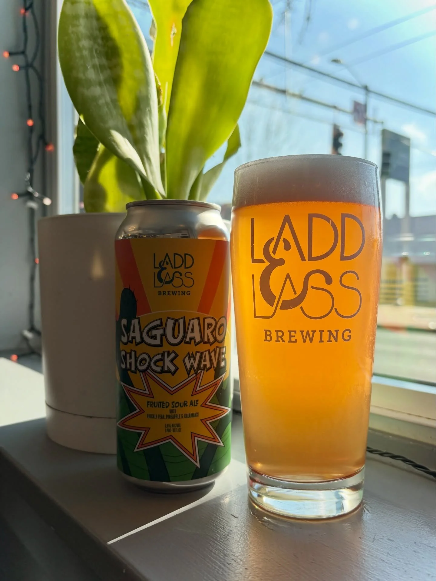 NEW RELEASE!

Saguaro Shock Wave
Fruited Sour / 5.6% ABV

This cool breeze of a sour brings together tart prickly pear, luscious pineapple, and Filipino delight calamansi to quench the deepest of thirsts and excite even the prickliest of beer connois