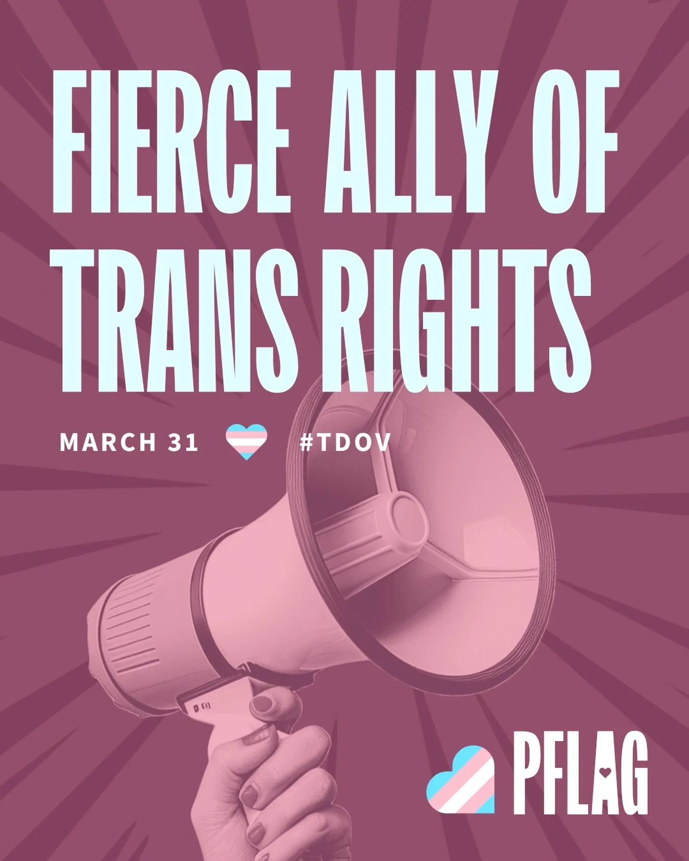 We see you and we love you just the way you are. 🩵🩷🤍🩷🩵

#transdayofvisibility🏳️&zwj;⚧️ #TDOV