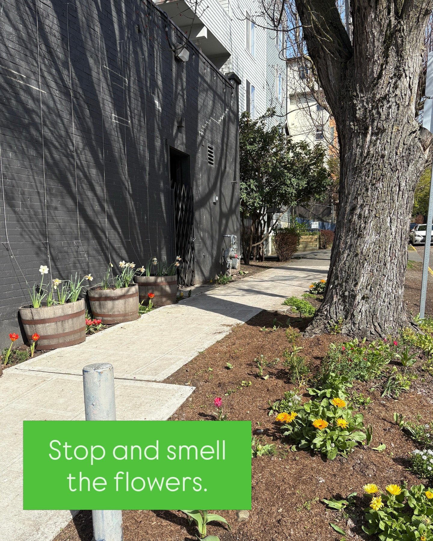 Happy Easter, y&rsquo;all. Make Jesus proud.