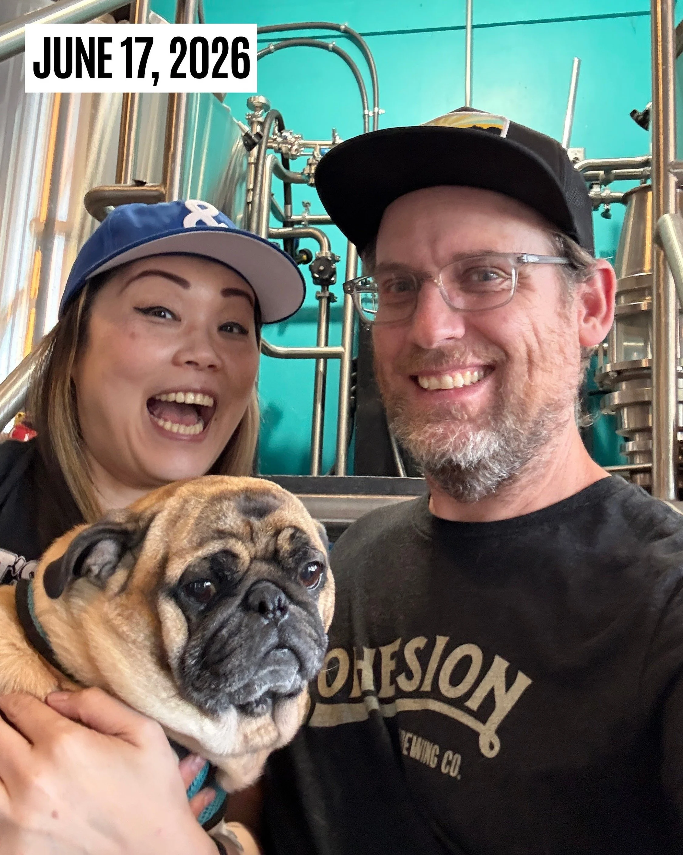 TWO YEARS AGO TODAY this little legume officially became an alumni of @pacificpugs and brew pug at L&amp;L. Happy Adoptiversary, @its.peanut.the.pug!!

#BrewPug #thePUGlife #RescuePug #AdoptDontShop #PugsOfInstagram