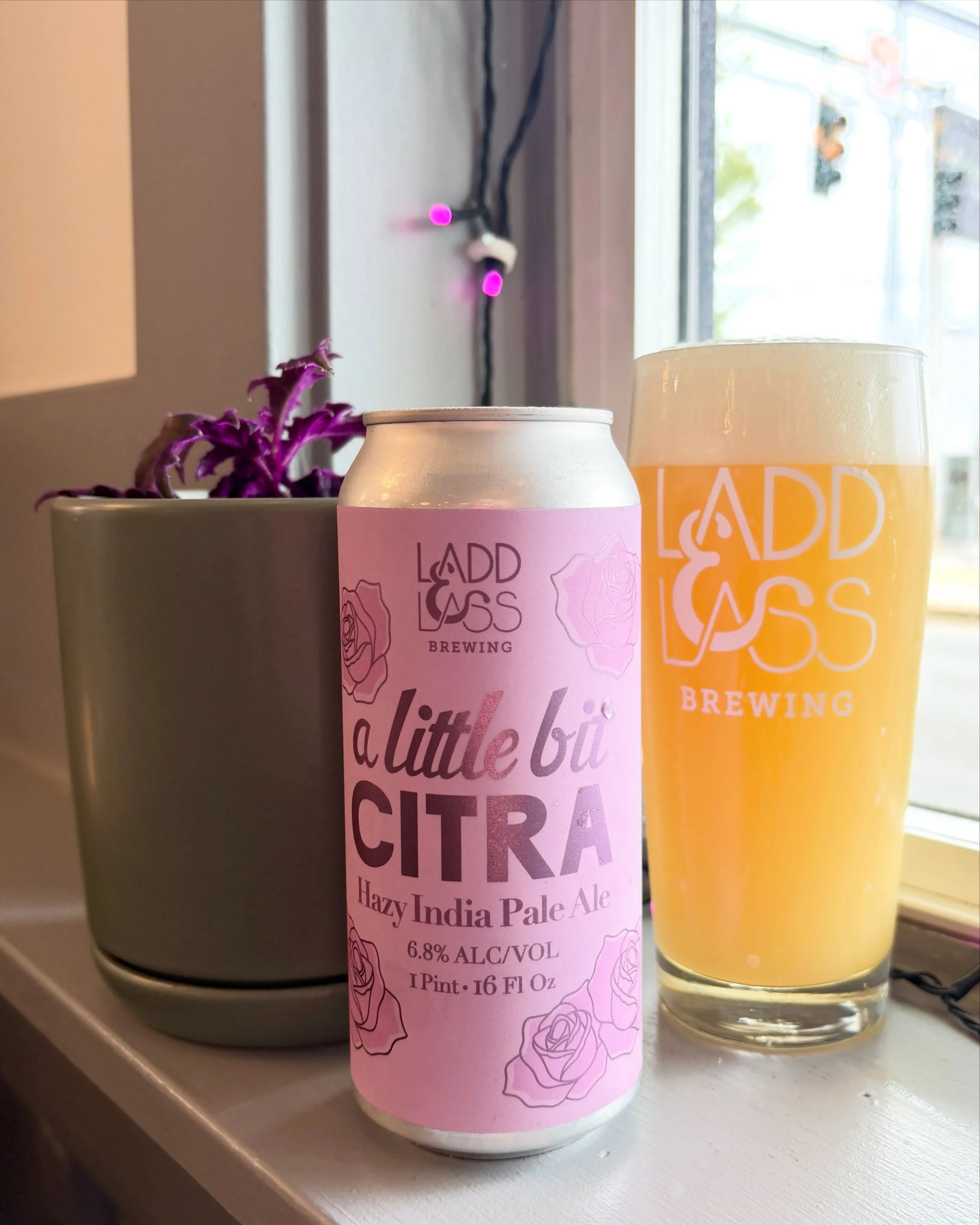 NEW RELEASE!

A Little Bit Citra
Hazy IPA / 6.8% ABV

Built around one of our favorite hops, this beer has been saturated with copious amounts of Citra, and Citra alone. Coupled with a pillowy, oat body, A Little Bit Citra manages to be softly gentle