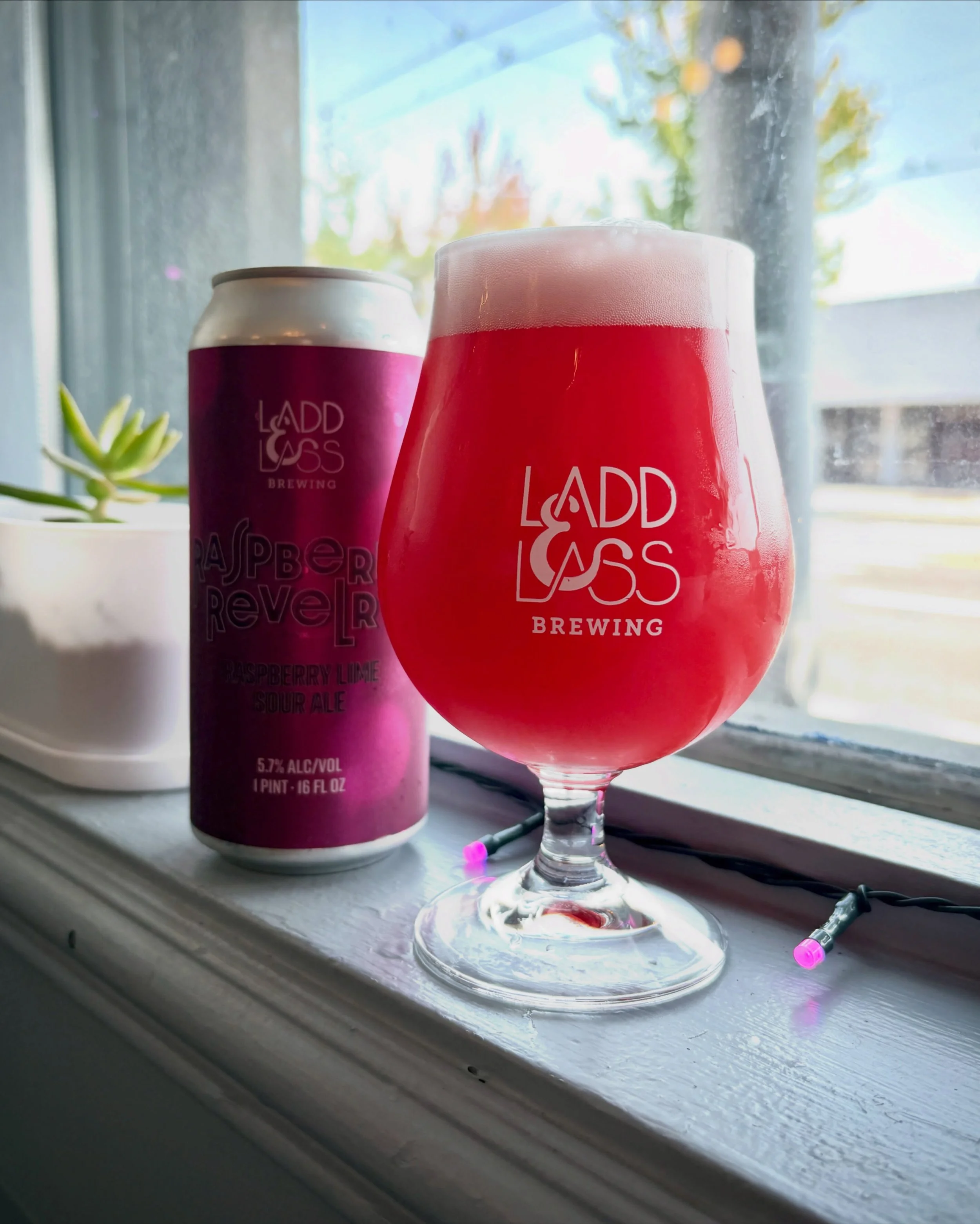 NEW RELEASE!

Raspberry Revelry
Fruited Sour / 5.7% ABV

This refreshing bevvy balances a crisp, clean acidity with festive notes of fresh raspberry and an enchanting hint of lime. brewed for optimal enjoyability, Raspberry Revelry is a top-notch exa