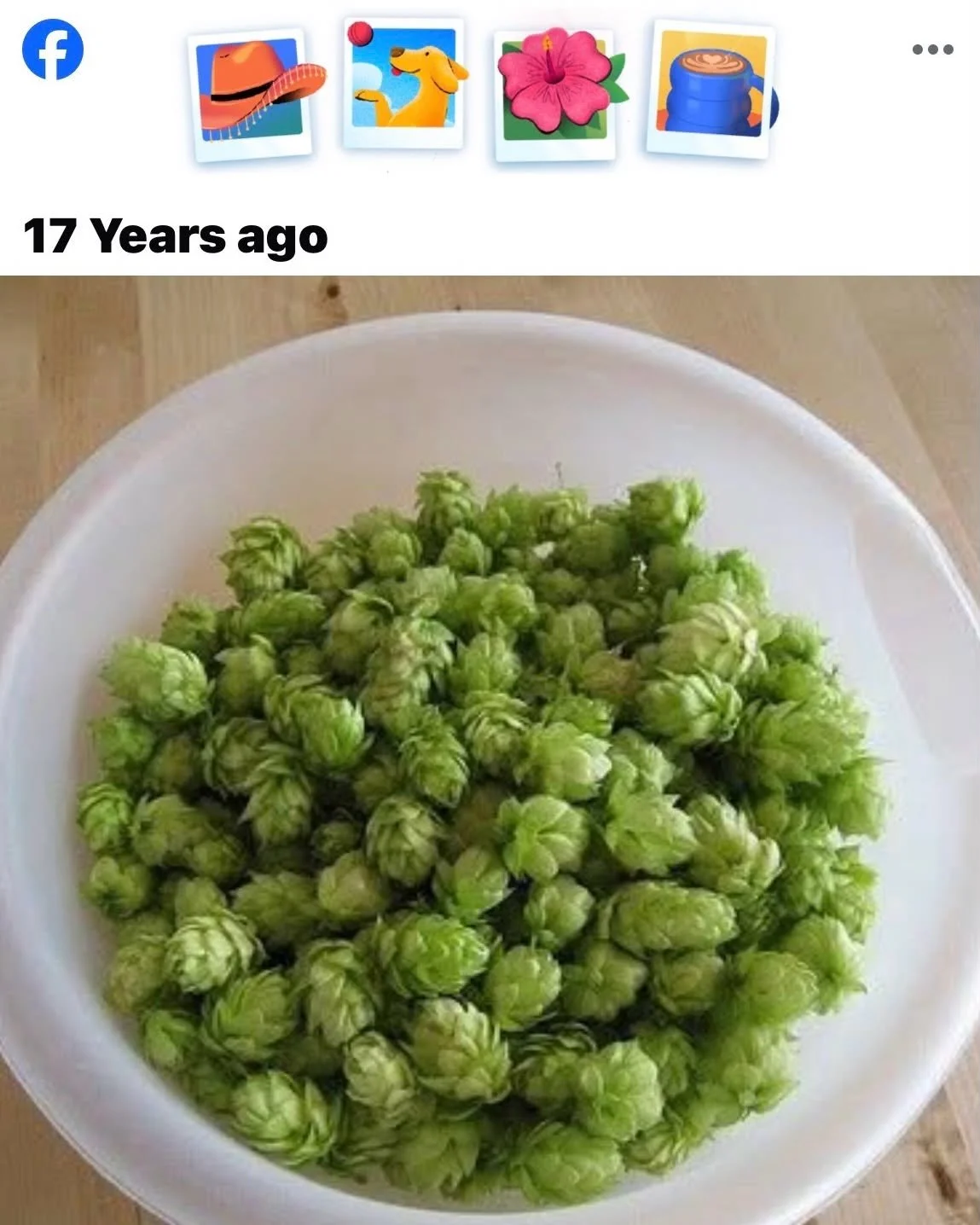 From our humble deck &ldquo;harvest&rdquo; to a proper farm harvest. Cheers to all of the hard-working folx at @cls_farms, @colemanagriculture, @perraultfarms, @royfarms_hops, @sauve_hops, @westwood_farms_ and @yakimachief for making our 2026 fresh h