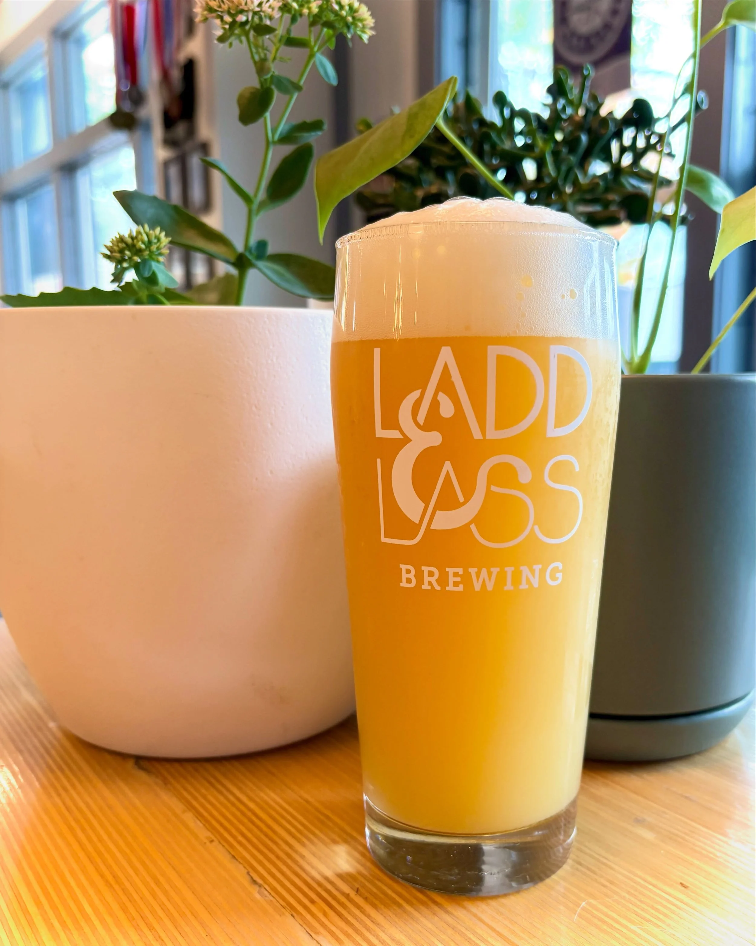 FRESH HOP RELEASE NO. 3!!!

Fresh Hop Cloud Sipper
Hazy IPA / 6.8% ABV

[featuring Mosaic from @sauve_hops &amp; Simcoe Cryo Fresh&reg; from @yakimachief]

Fresh Hop Cloud Sipper features 200 pounds of fresh Mosaic from Sauve &amp; Son Farms, our fav