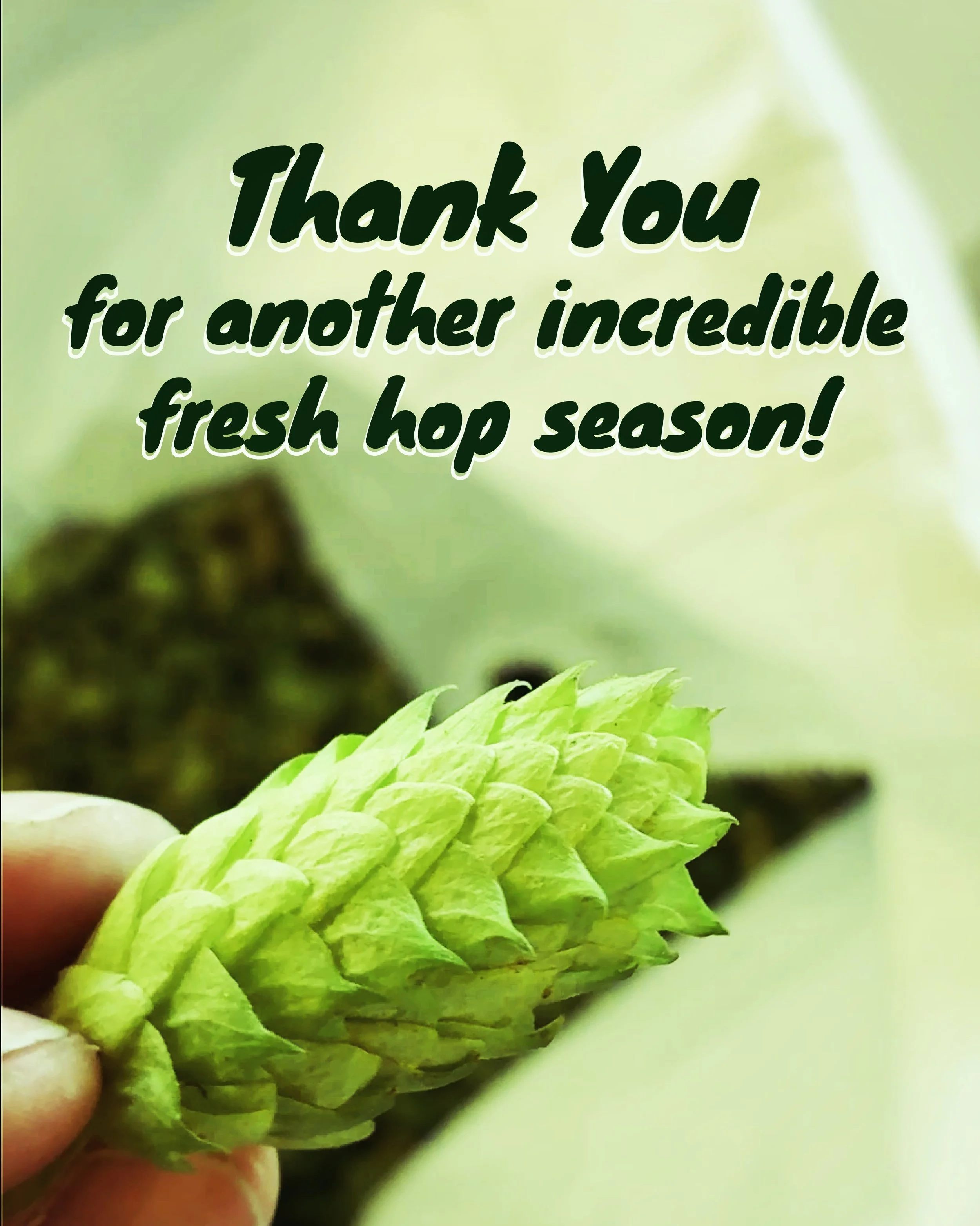 DON&rsquo;T CRY BECAUSE IT&rsquo;S (NEARLY) OVER. SMILE BECAUSE IT&rsquo;S BEEN FUCKING DELICIOUS.

Another fresh hop season is winding down. And what an amazing one it was. We brewed six freshies this year, including our very first Pilsner, and mana